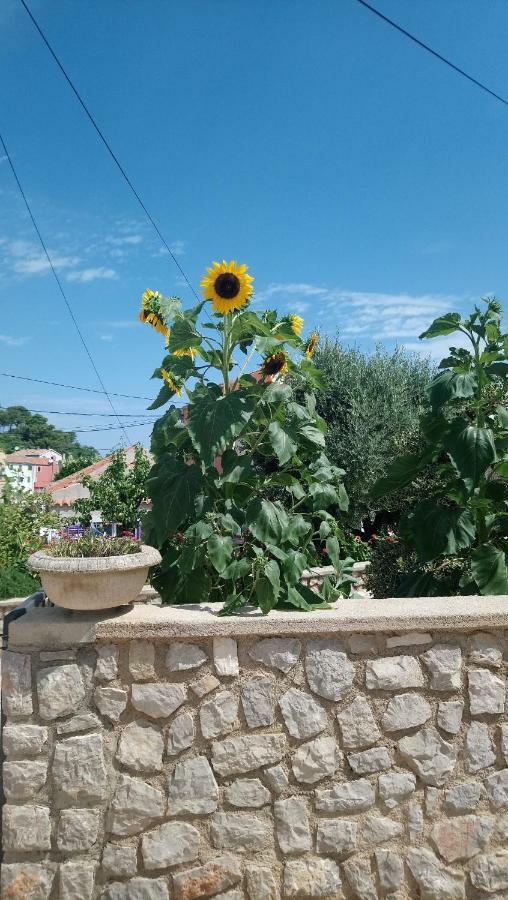 Apartmani Antonio Veli Lošinj Exteriör bild